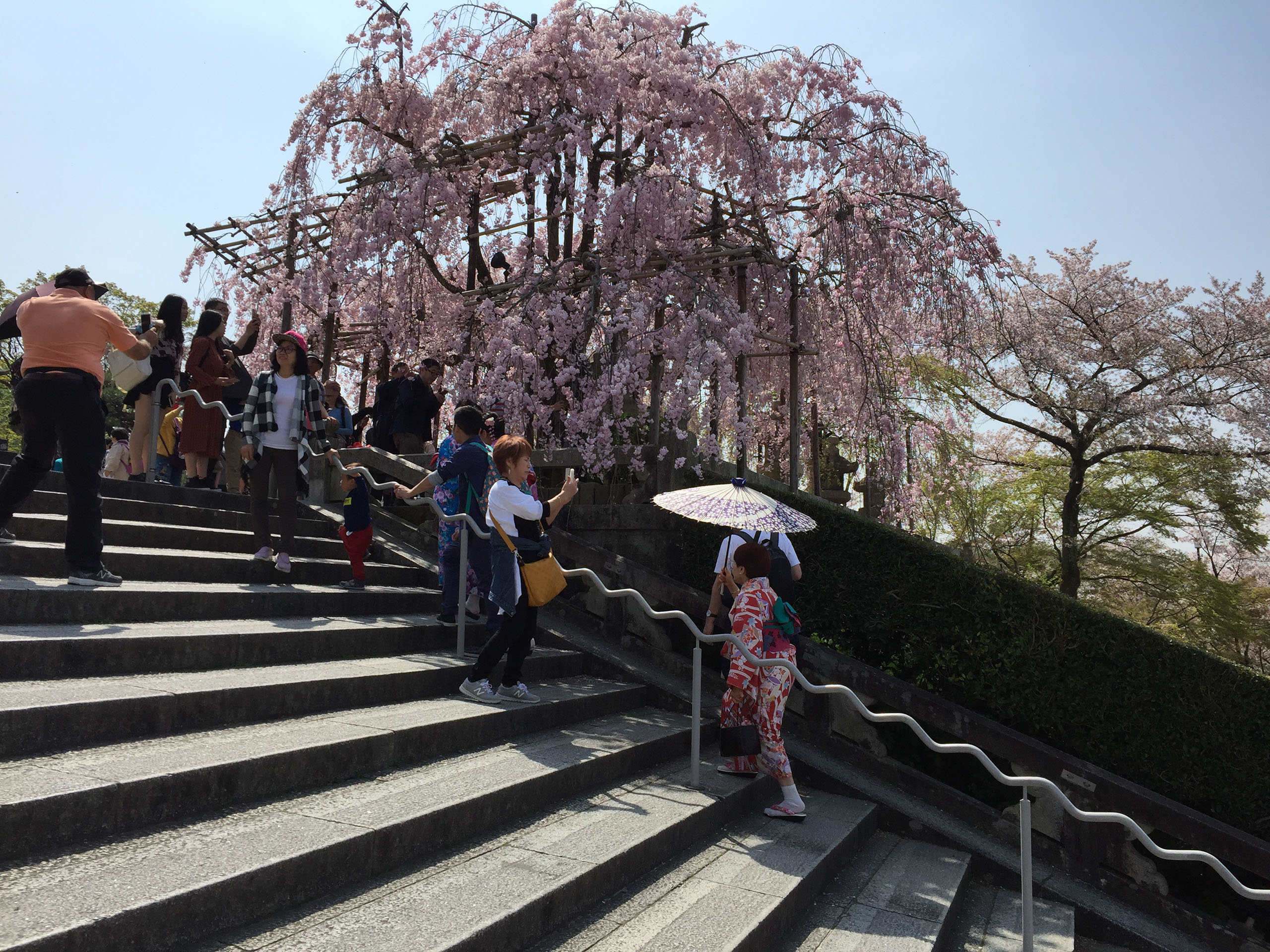 Japan Trip | Landscape Design | Garden Tours